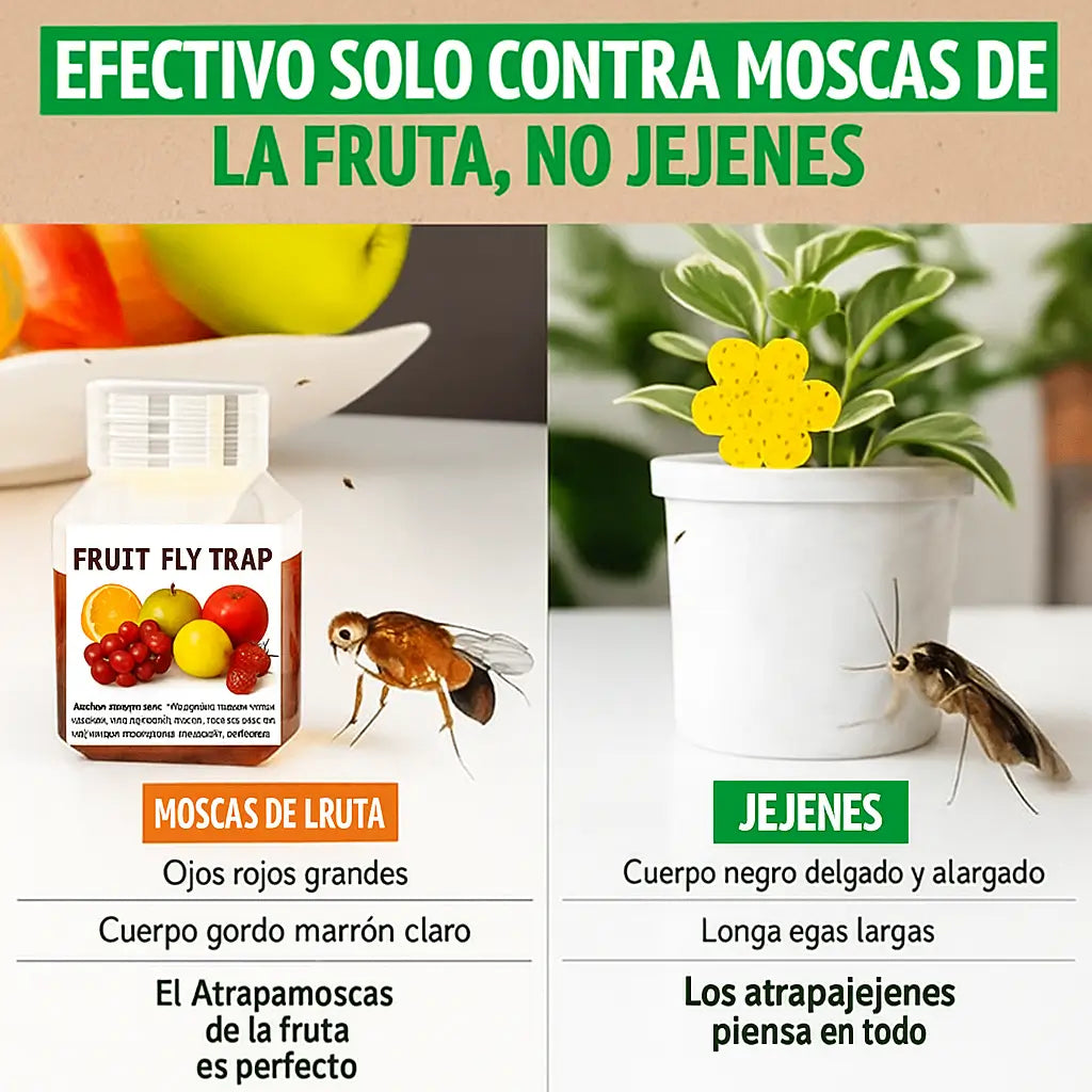 MosTram™ – Paga 1 y lleva 3, tu cocina libre de moscas y bacterias