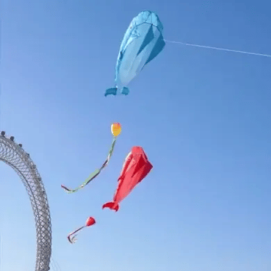 Cometa Gigante Delfín Ballena