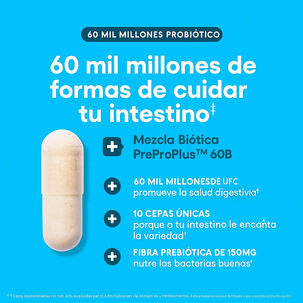 Encabezado