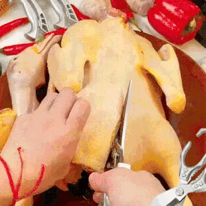 Encabezado
