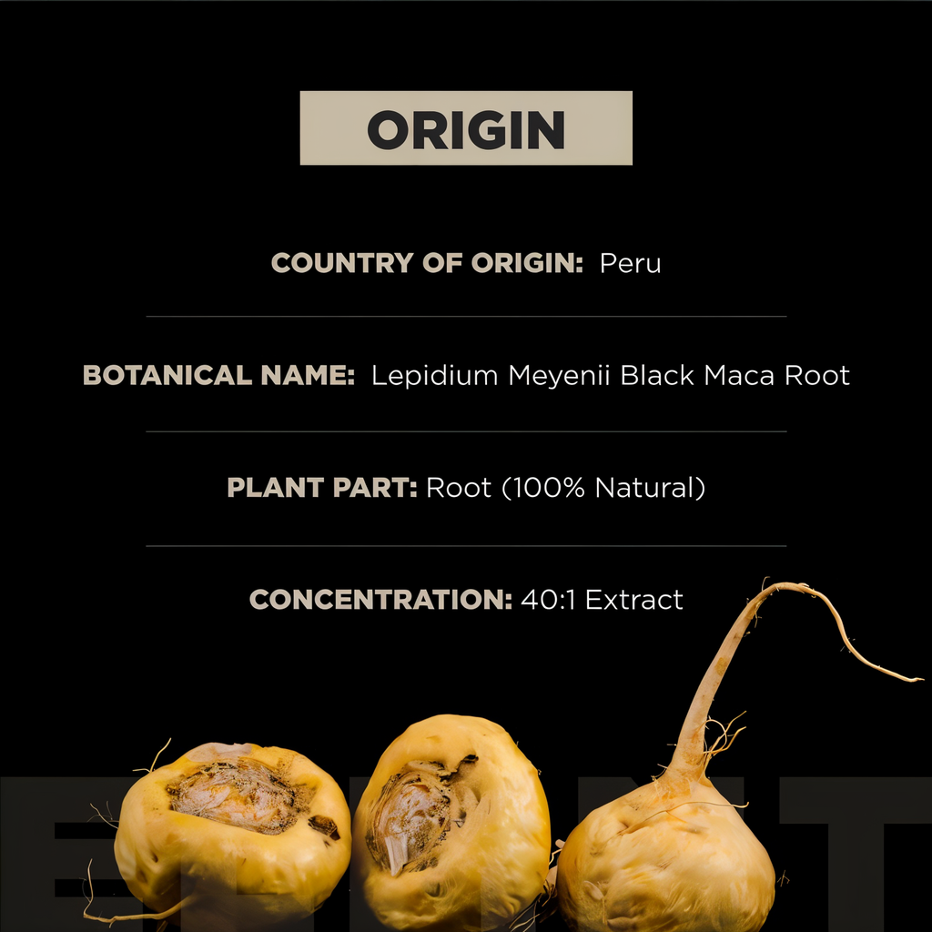 Energía Natural Maca Negra