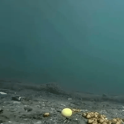 Tubos de Pesca Flotantes